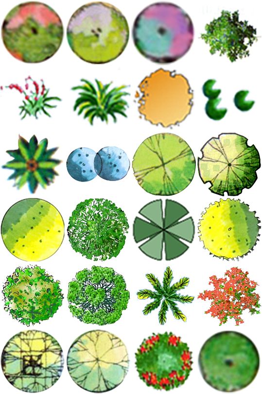 立即下载彩平图植物素材 (5)景观小品彩平素材 (5)立即下载彩平图素材