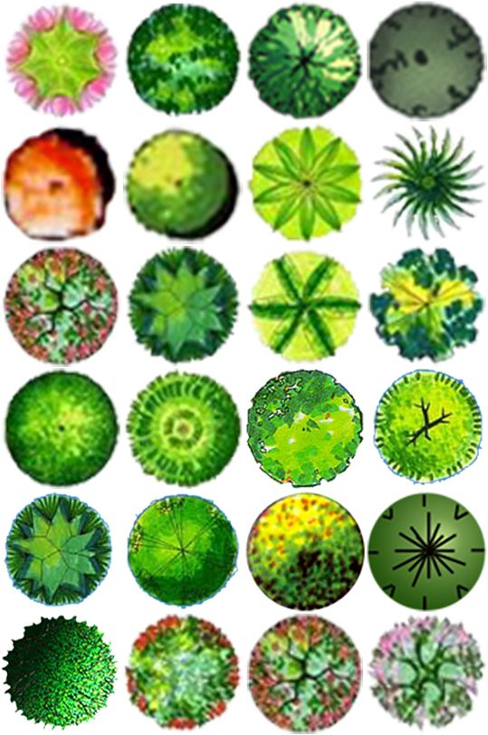 景观小品彩平素材 (8)