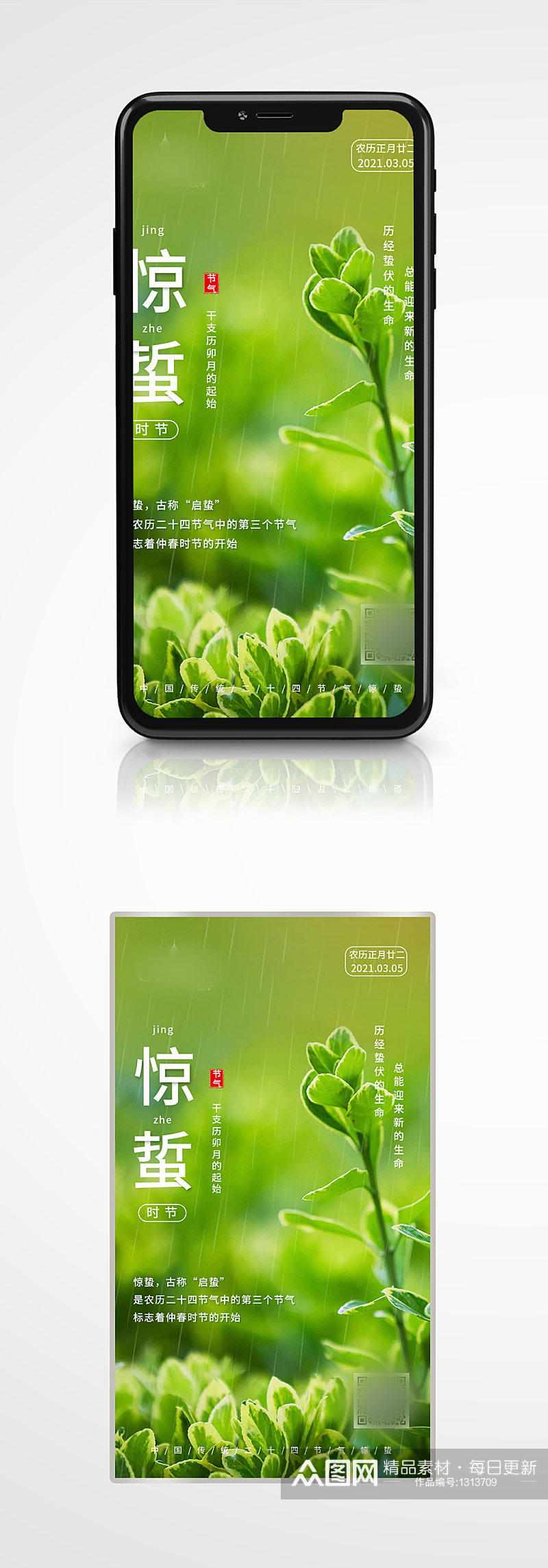 中国二十四节气绿色植物惊蛰移动端海报 H5长图素材