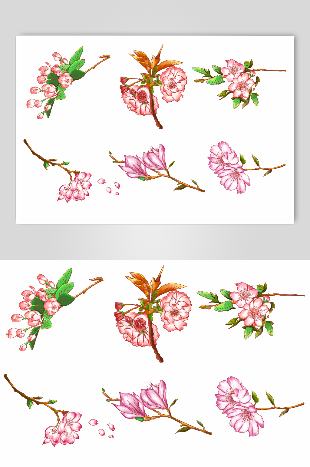 芳华桃花樱花花卉元素插画素材
