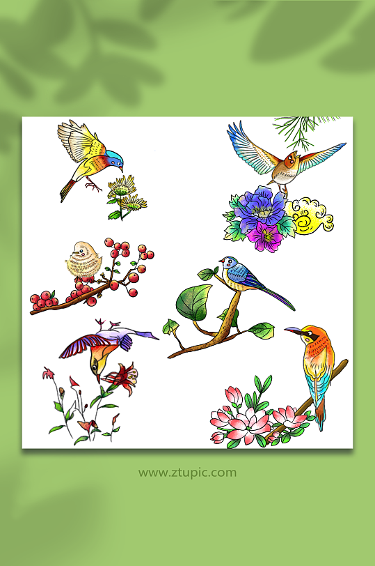 枝头上春季小鸟鸟类元素插画