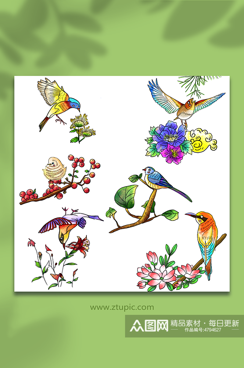 枝头上春季小鸟鸟类元素插画素材
