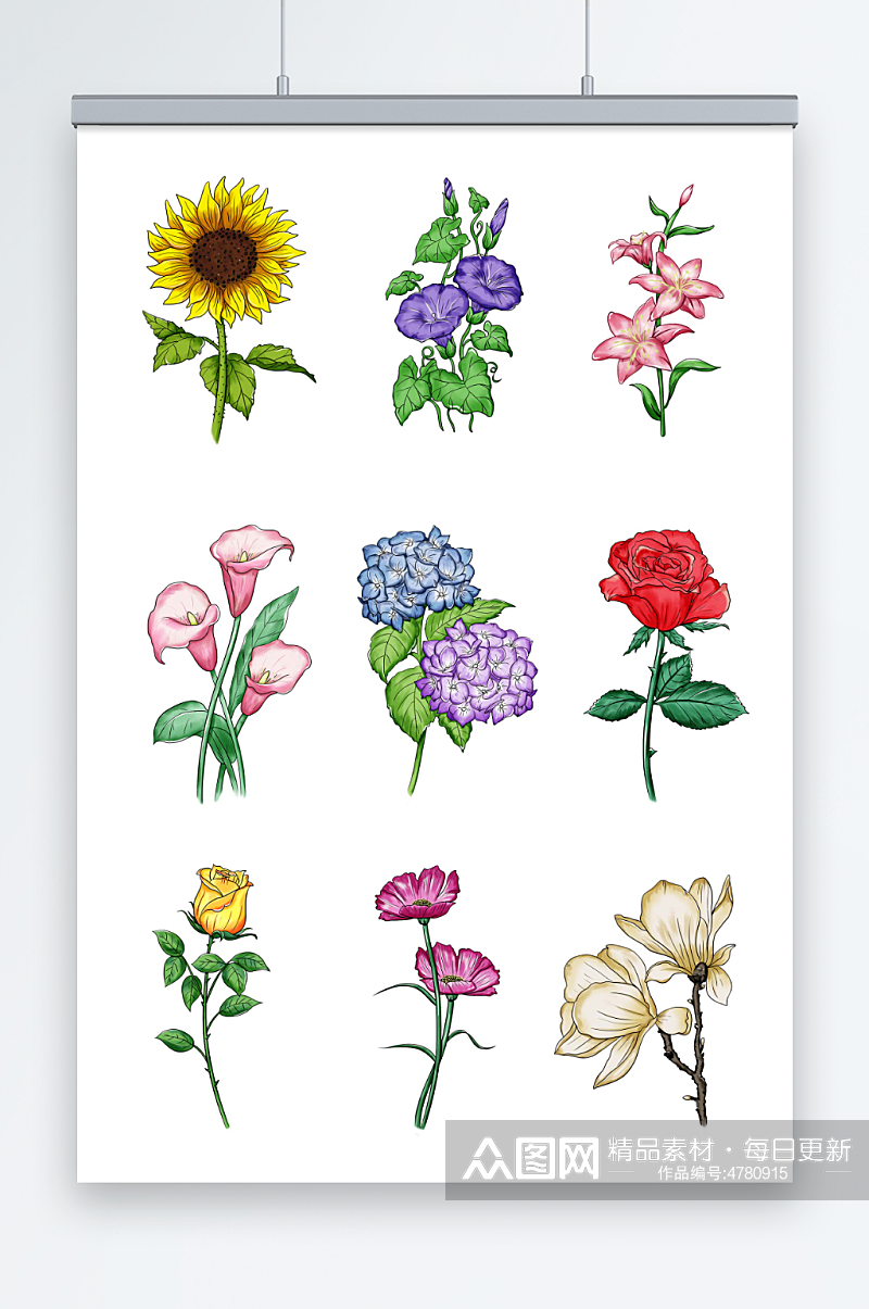 手绘鲜花向日葵牵牛花百合玫瑰花插画元素素材