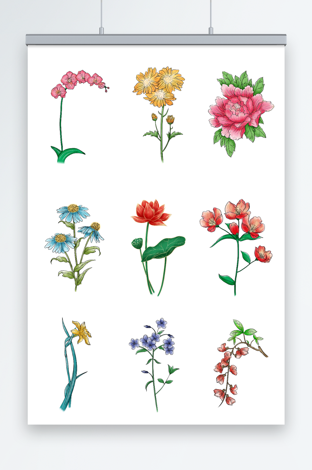 手绘鲜花蝴蝶兰牡丹兰花手绘免抠插画元素素材