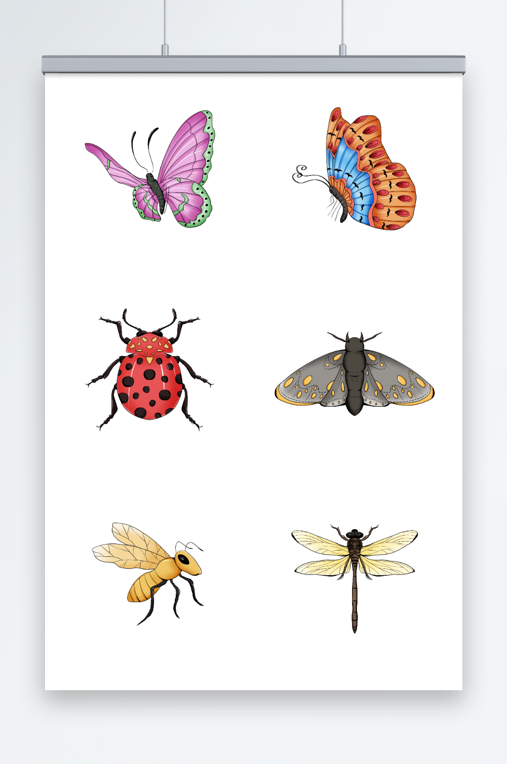 卡通写实蝴蝶蜜蜂蜻蜓昆虫免抠元素插画素材