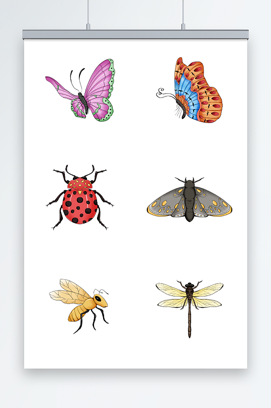 卡通写实蝴蝶蜜蜂蜻蜓昆虫免抠元素插画