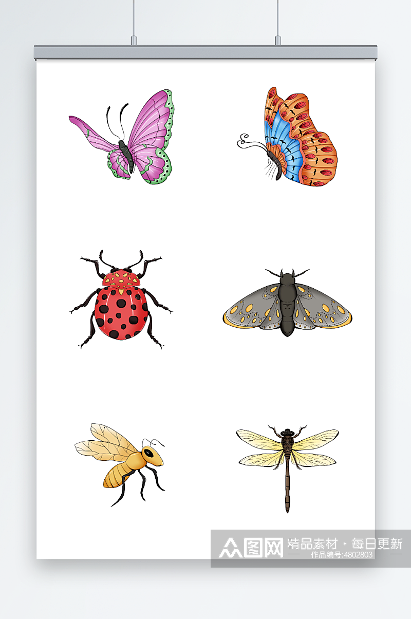 卡通写实蝴蝶蜜蜂蜻蜓昆虫免抠元素插画素材