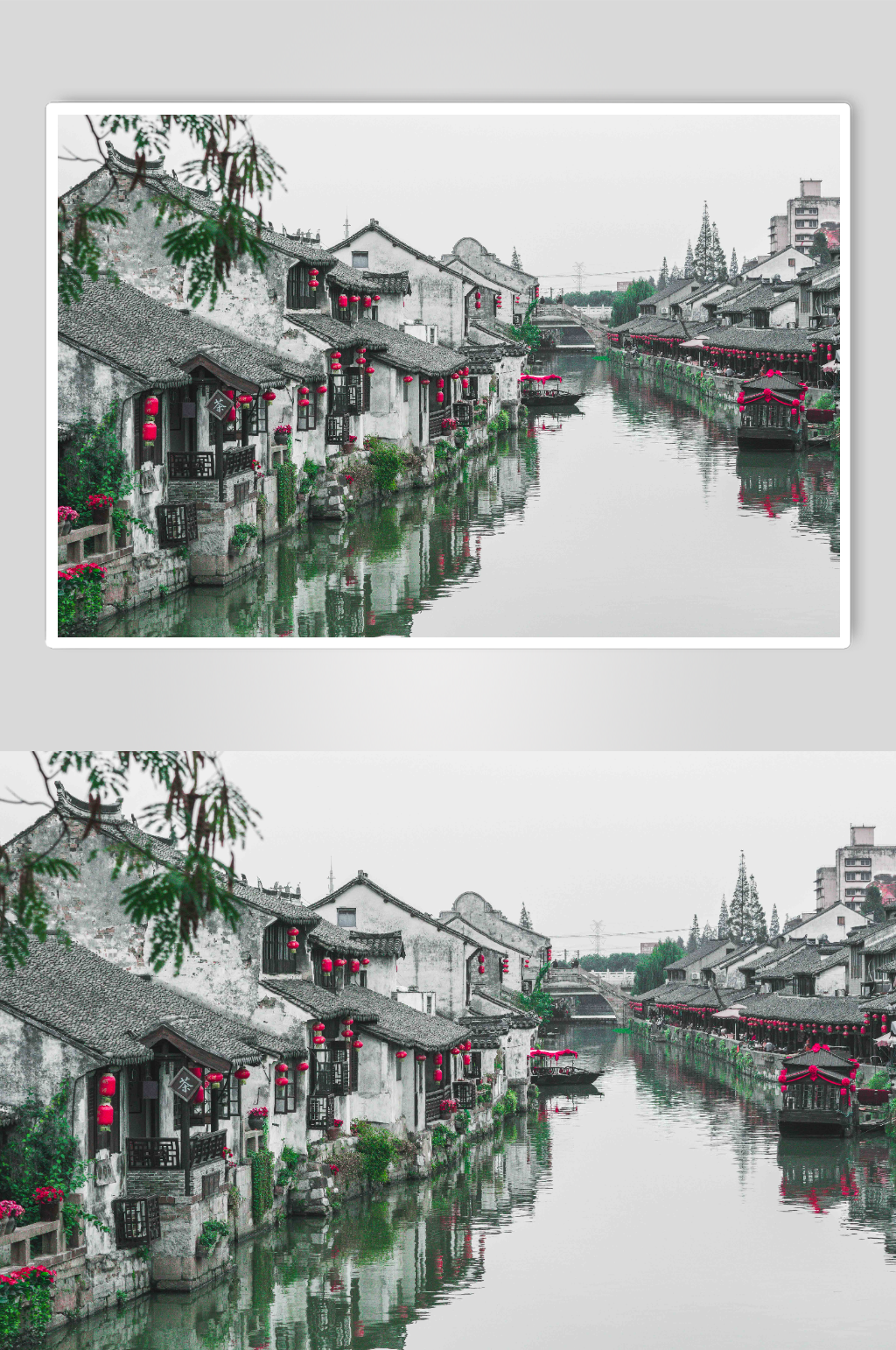 秋季上海枫泾古镇摄影图片素材