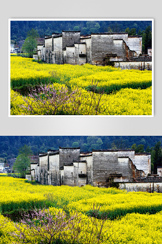 中国乡村振兴摄影图片