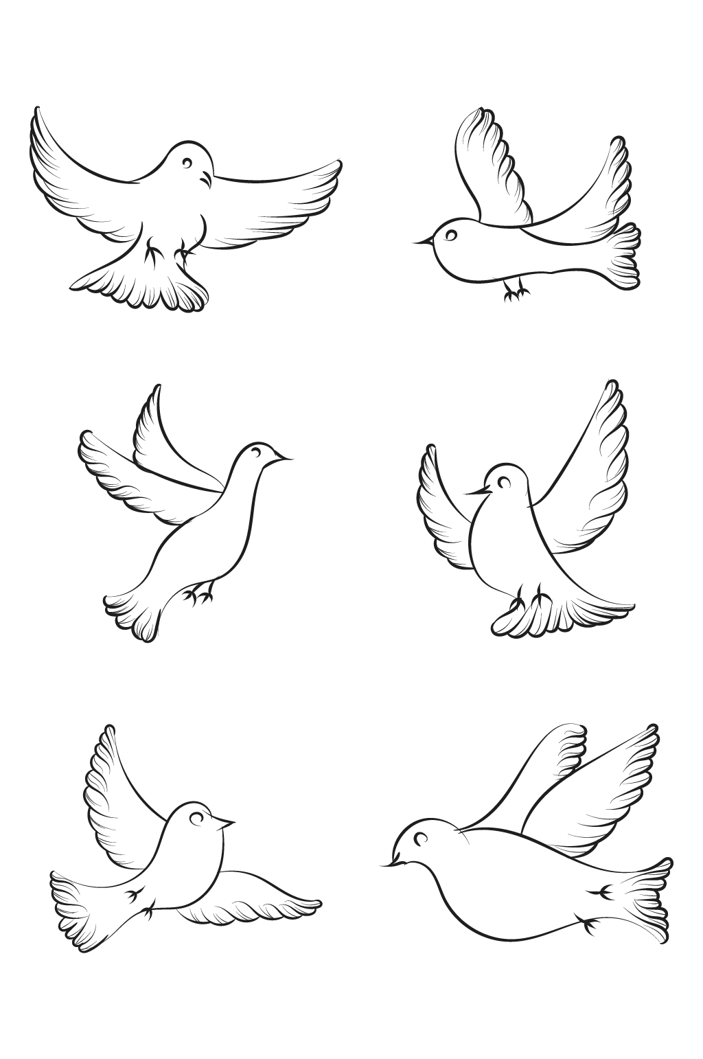 小白鸽画法图片