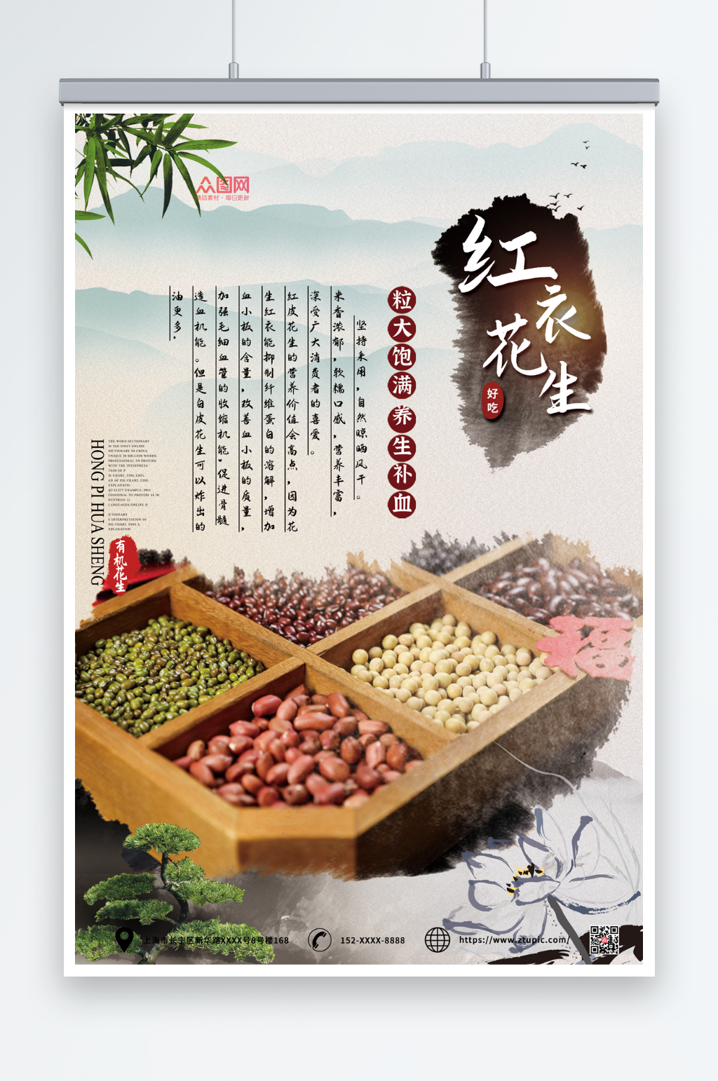 中国风红皮花生宣传海报素材