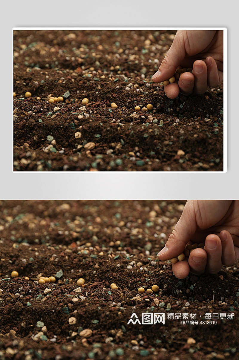 播撒种子土地土壤植树节物品摄影图片素材