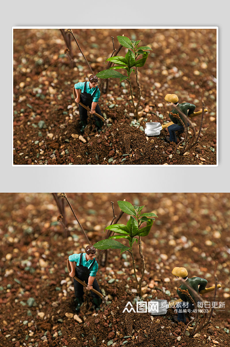 土地播种树苗树芽土壤植树节物品摄影图片素材