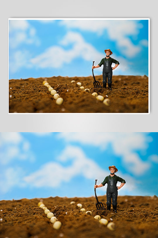 创意劳作播种树苗土壤植树节物品摄影图片-众图网