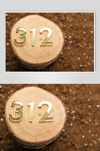 312树苗发芽树芽植树节物品摄影图片