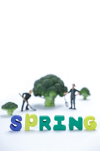 创意春季种植树苗植树节物品摄影图片
