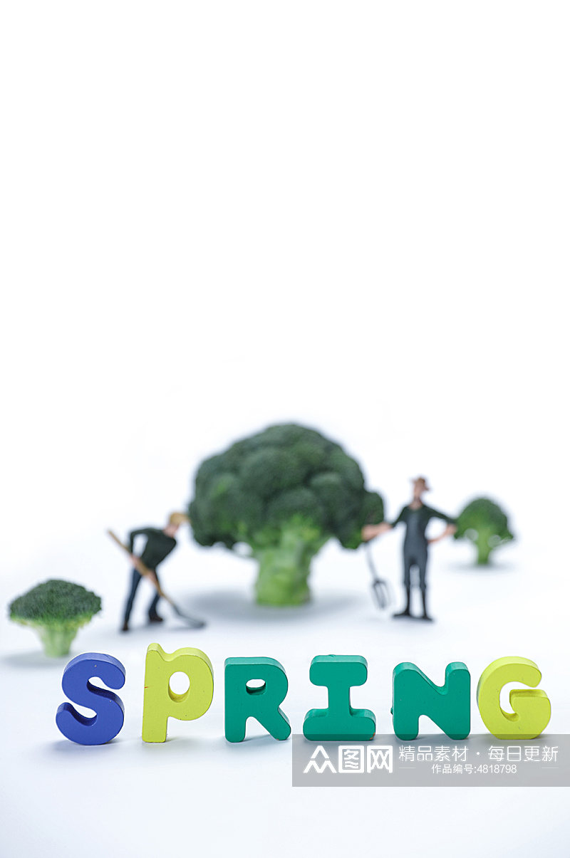 创意春季种植树苗植树节物品摄影图片素材