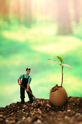 创意树苗破壳发芽植树节物品摄影图片