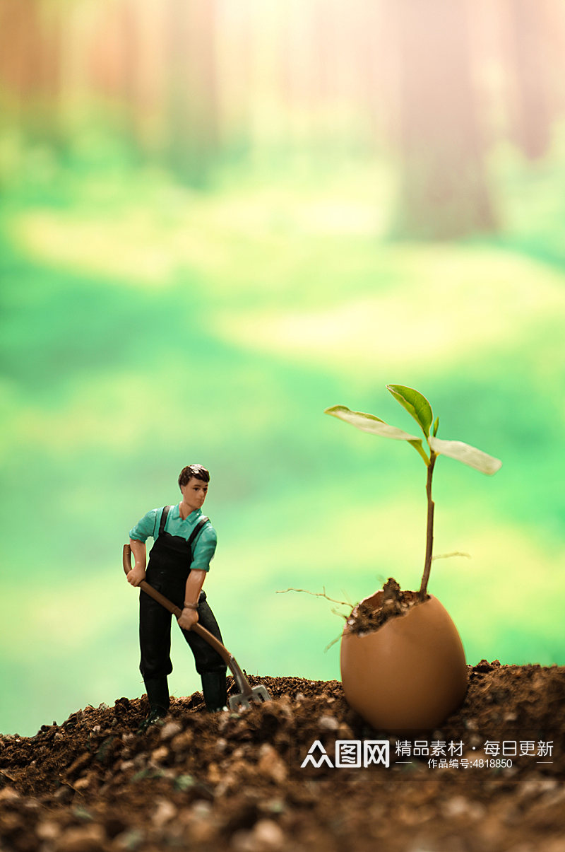 创意树苗破壳发芽植树节物品摄影图片素材