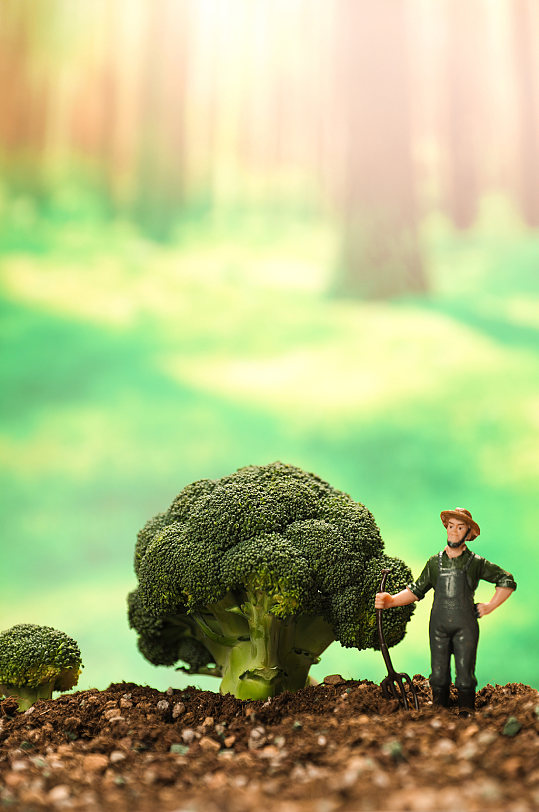 创意春季播种树苗土壤植树节物品摄影图片-众图网