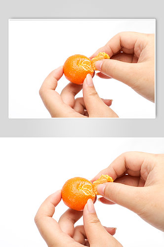 剥开橘子沙糖桔水果物品摄影图片
