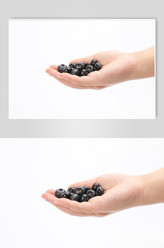 手捧新鲜蓝莓水果物品摄影图片