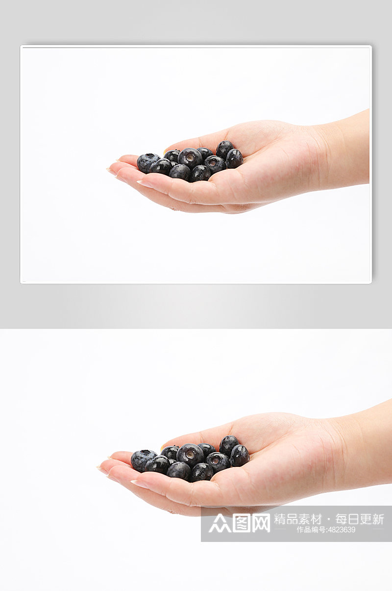 手捧新鲜蓝莓水果物品摄影图片素材