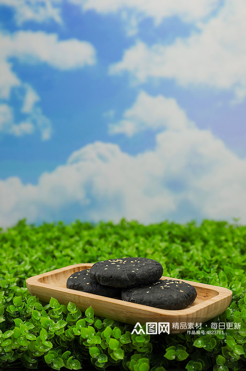 草地的糕点黑芝麻饼豆沙饼食品物品摄影图片素材