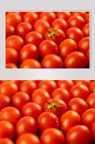 特写圣女果小番茄水果物品摄影图片