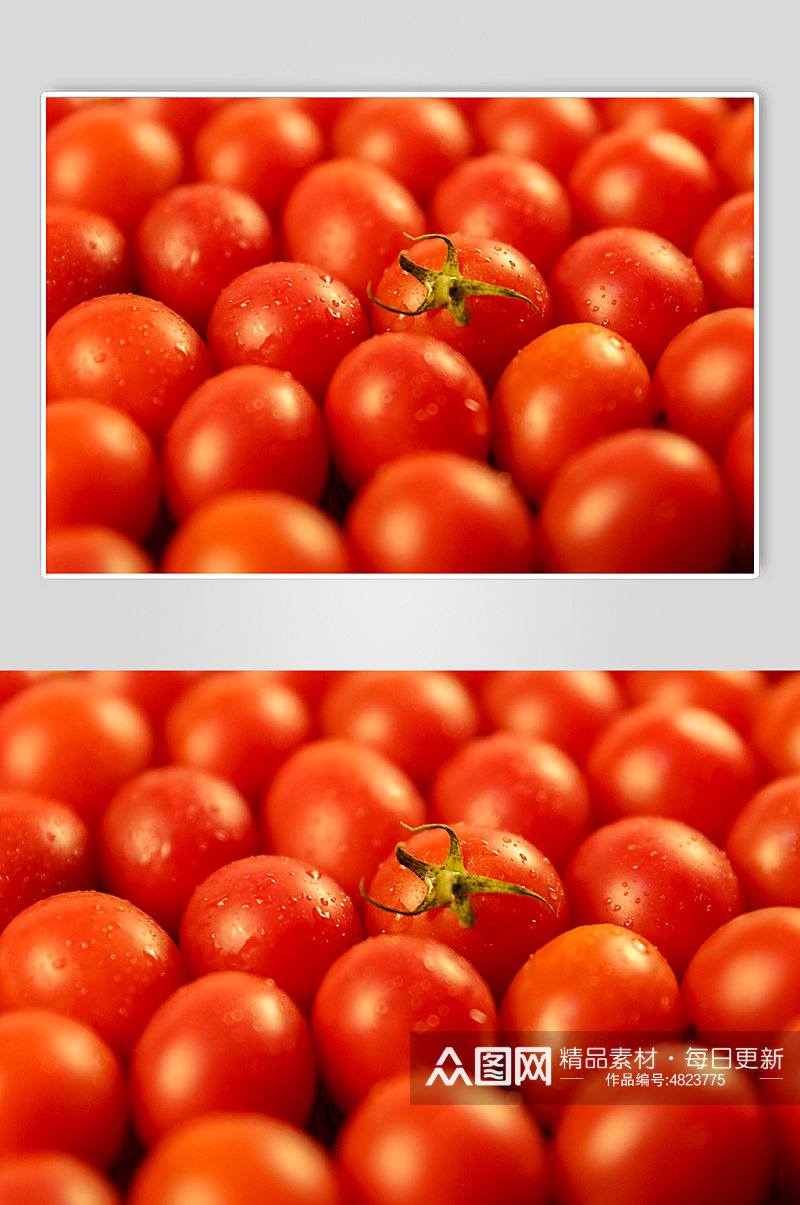 特写圣女果小番茄水果物品摄影图片素材