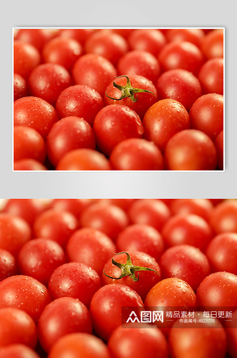 特写圣女果小番茄水果物品摄影图片素材