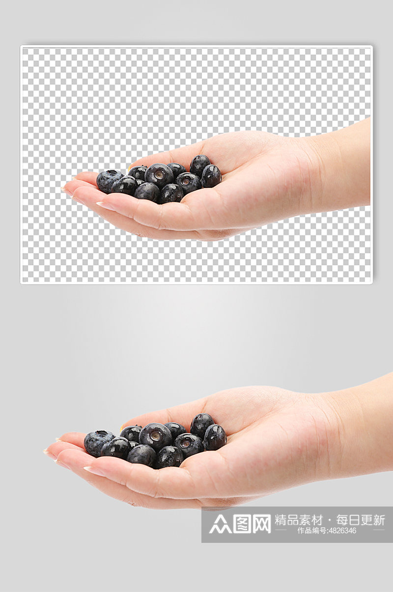 手捧蓝莓水果食品物品PNG摄影图片素材