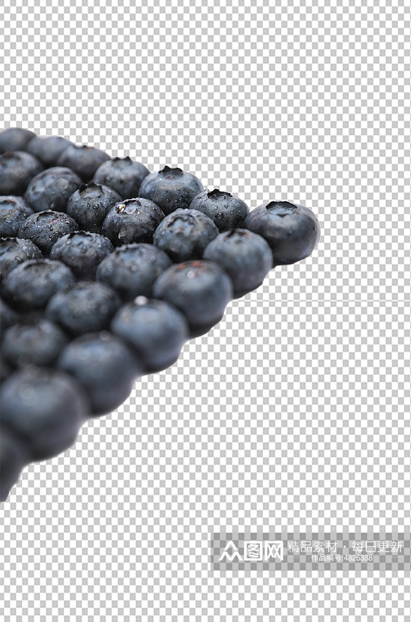 创意排列蓝莓水果食品物品PNG摄影图片素材