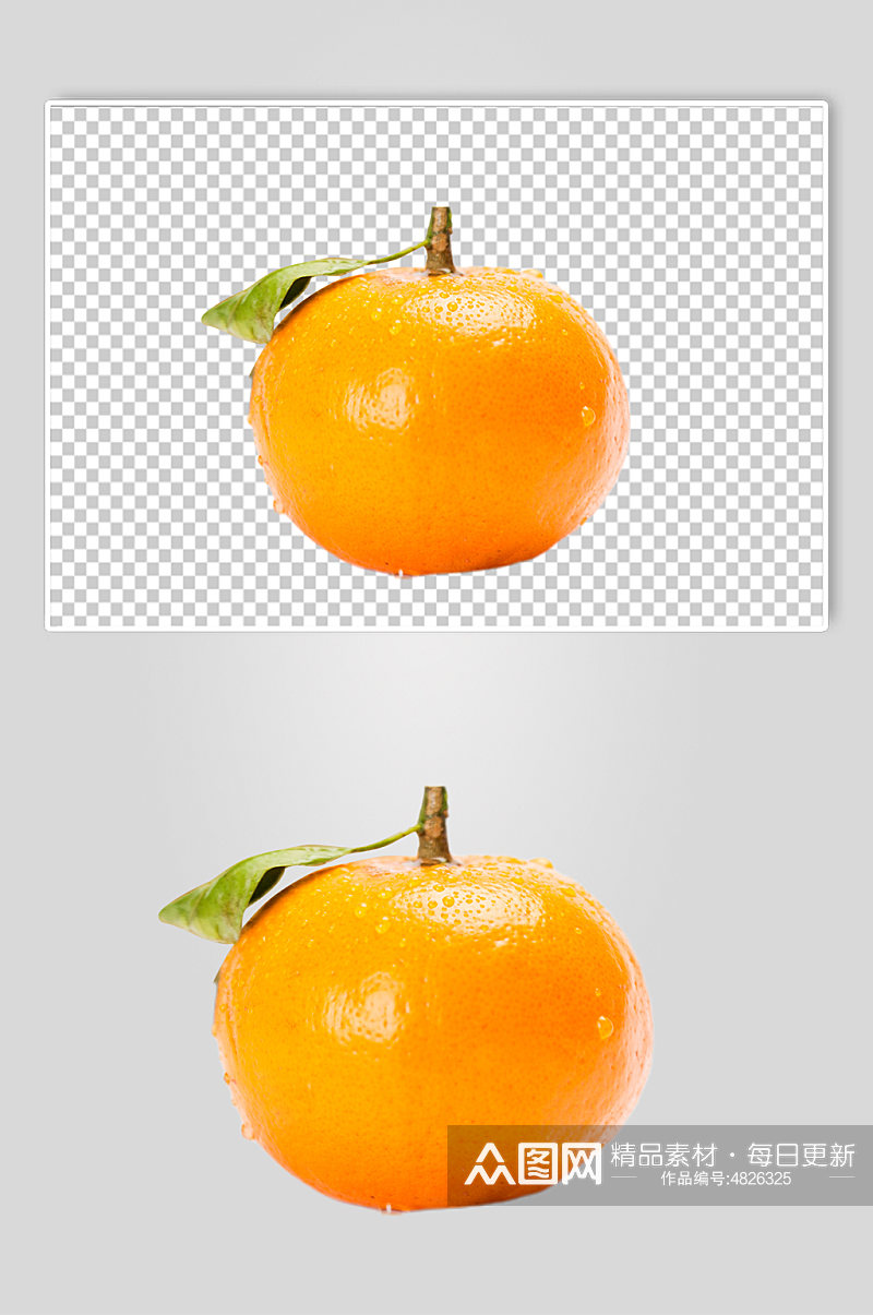 橙子橘子水果食品物品PNG摄影图片素材
