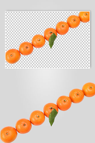 排列橙子水果食品物品PNG摄影图片