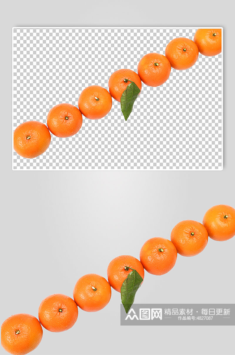 排列橙子水果食品物品PNG摄影图片素材