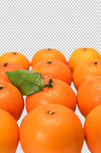 排列橙子水果食品物品PNG摄影图片
