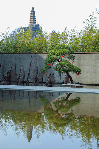 新中式人造景观酒店民宿水系绿植摄影图片
