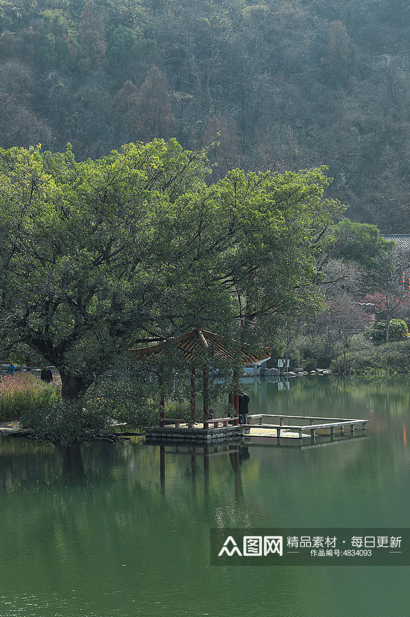 自然景观树木绿植花卉风光摄影图片素材