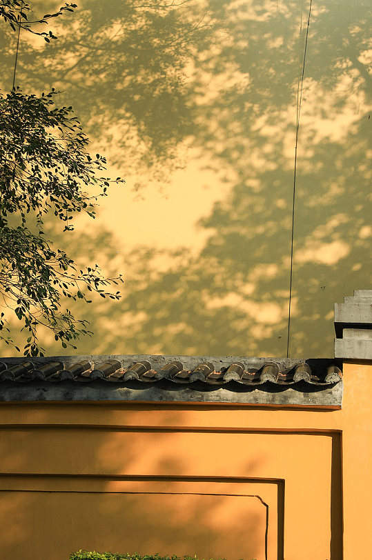 中式古镇建筑绿植围墙元素风光摄影图片