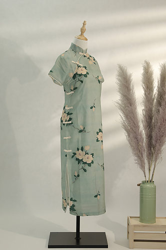 绿色旗袍春装服装摄影图片