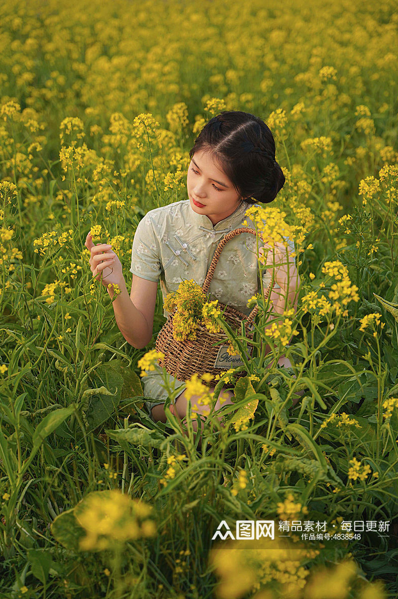 清新少女油菜花赏花季春季旗袍人物摄影图片素材