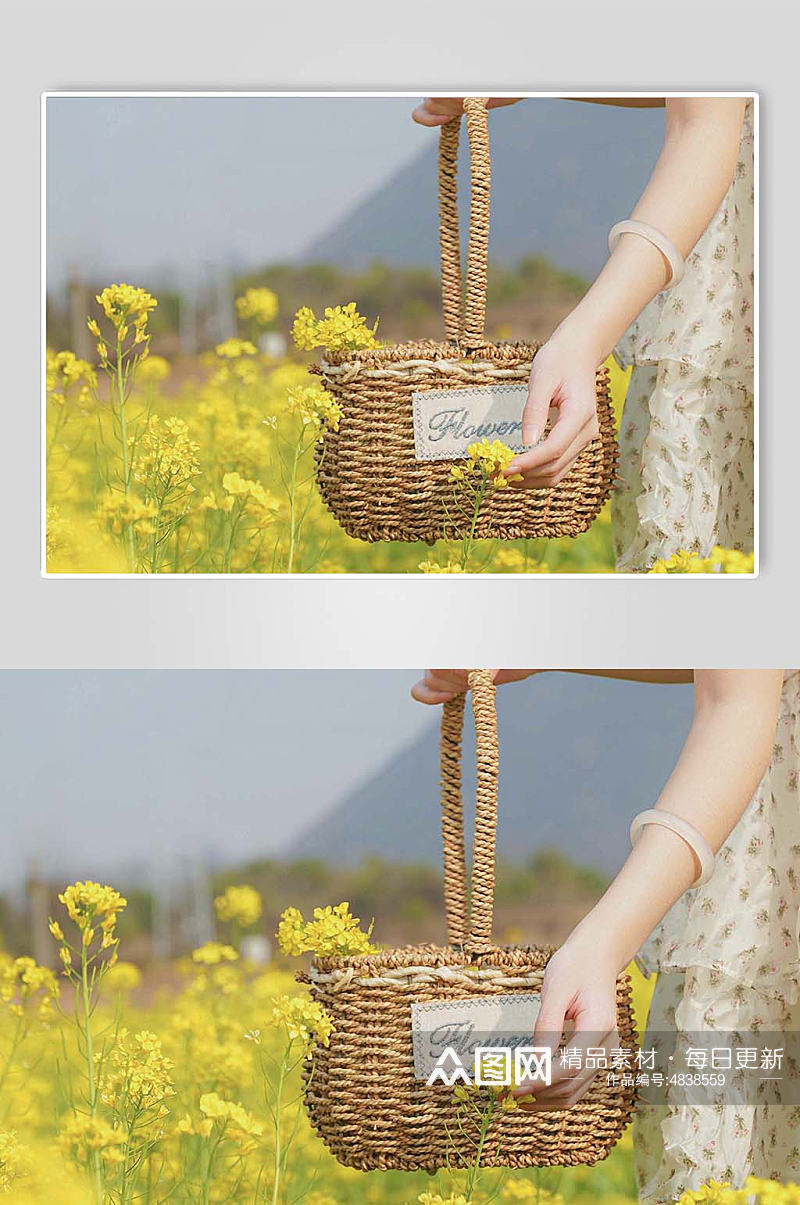 清新少女油菜花赏花季春季人物摄影图片素材