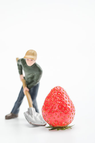 微缩小人工人草莓水果食物物品摄影图片