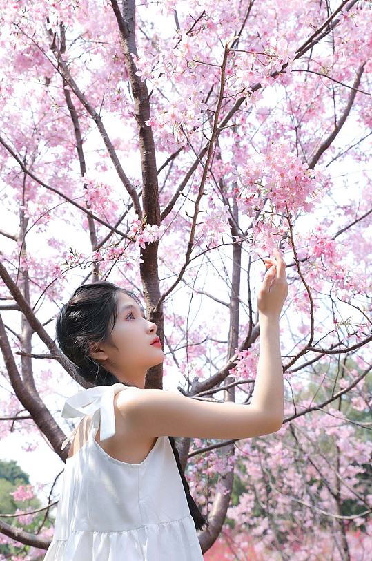 赏花季春季清新少女樱花人物摄影图片