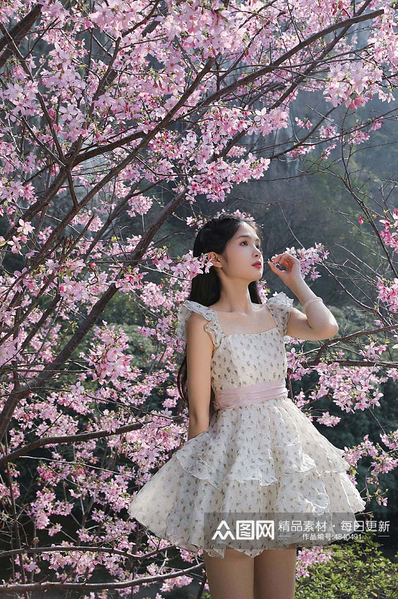 赏花季春季清新少女樱花人物摄影图片素材