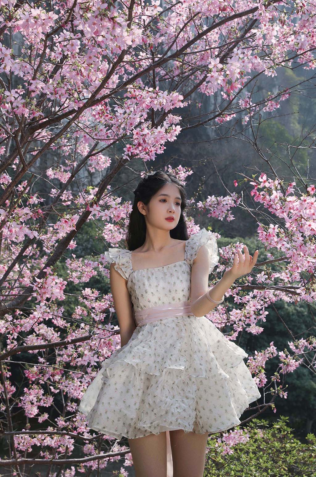 赏花季春季清新少女樱花人物摄影图片素材
