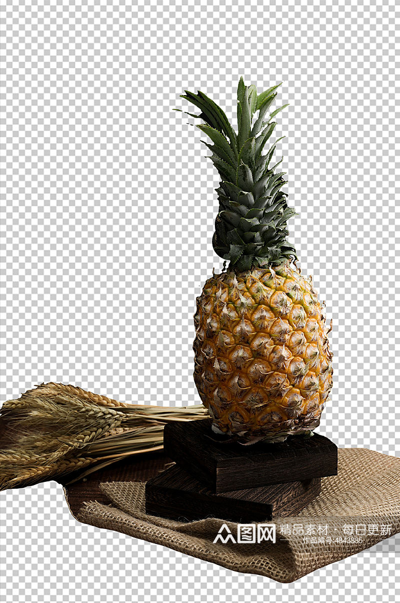 一颗新鲜菠萝PNG免抠摄影图素材