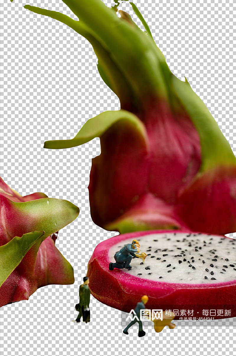 微缩小人火龙果切面水果PNG免抠摄影图素材