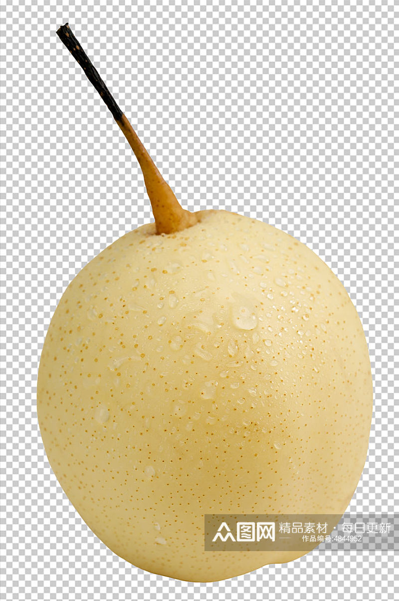 新鲜梨子水果PNG免抠摄影图素材